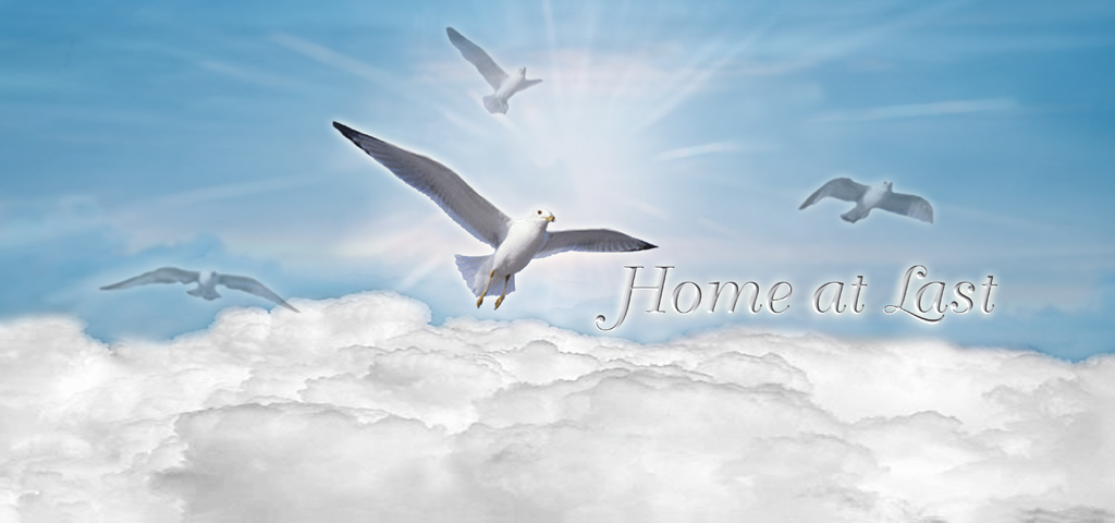 Bl Clouds Birds (Home at Last) PROOF